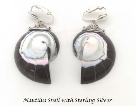 Clip On Earrings, Nautilus Shell, Sterling Silver, Artisan Made
